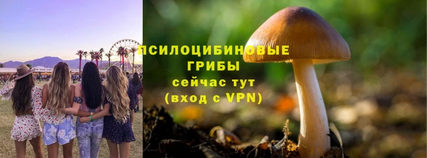 мескалин Белокуриха