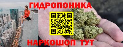 ГАЛЛЮЦИНОГЕННЫЕ ГРИБЫ Моздок