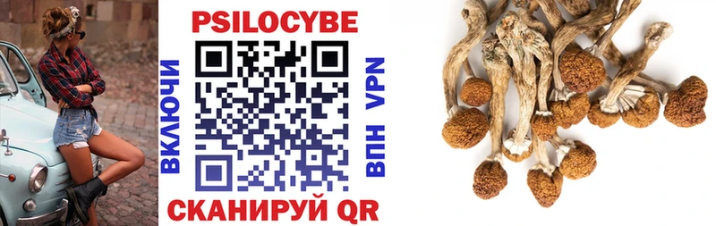 Псилоцибиновые грибы ЛСД  Соль-Илецк 