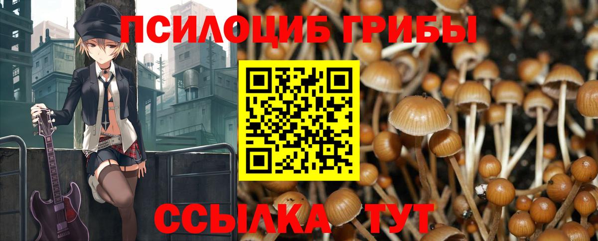 Соль-Илецк  Псилоцибиновые грибы мицелий  Галлюциногенные грибы MAGIC MUSHROOMS  Вход с VPN 